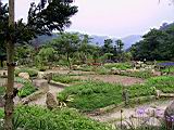 174-7462_IMG.JPG