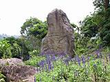 174-7473_IMG.JPG