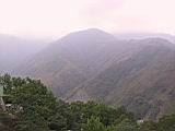 175-7515_IMG.JPG