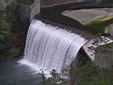 175-7519_IMG.JPG