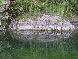 175-7524_IMG.JPG