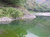 175-7525_IMG.JPG