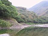 175-7528_IMG.JPG