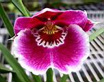 175-7565_IMG.JPG