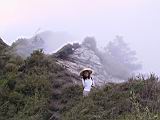 179-7949_IMG.JPG