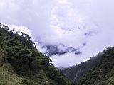 179-7951_IMG.JPG
