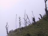 179-7952_IMG.JPG