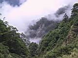 179-7954_IMG.JPG