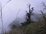 179-7964_IMG.JPG