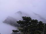 179-7965_IMG.JPG