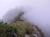 179-7967_IMG.JPG