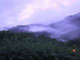 178-7890_IMG.JPG