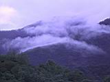 178-7897_IMG.JPG