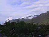 178-7899_IMG.JPG