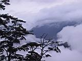 179-7908_IMG.JPG