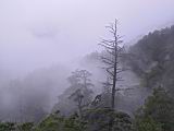 179-7909_IMG.JPG