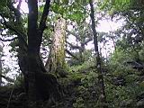 180-8016_IMG.JPG