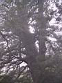 180-8018_IMG.JPG