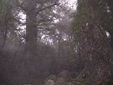 180-8019_IMG.JPG