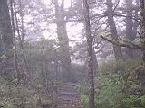 180-8022_IMG.JPG