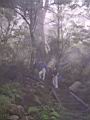 180-8023_IMG.JPG