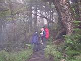 180-8025_IMG.JPG