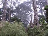 181-8136_IMG.JPG