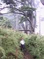 181-8137_IMG.JPG