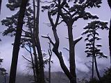 181-8138_IMG.JPG