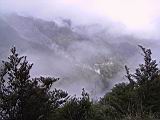 181-8139_IMG.JPG