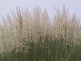 104-0443_IMG.JPG