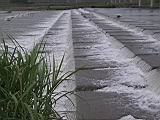 104-0447_IMG.JPG