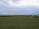 114-1464_IMG.JPG