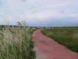 114-1470_IMG.JPG