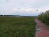 114-1472_IMG.JPG