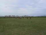 114-1475_IMG.JPG