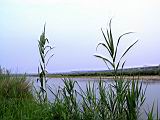 175-7544_IMG.JPG