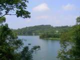 100-0002_IMG.JPG