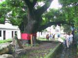 100-0043_IMG.JPG