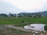 100-0050_IMG.JPG