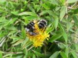 100-0075_IMG.JPG