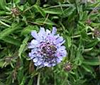 101-0101_IMG.JPG