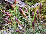 101-0102_IMG.JPG