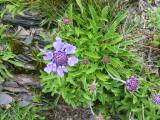 101-0103_IMG.JPG