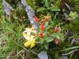 101-0105_IMG.JPG