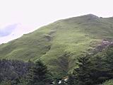 101-0160_IMG.JPG