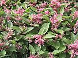 101-0161_IMG.JPG