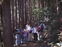 102-0291_IMG.JPG