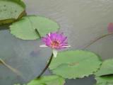 103-0335_IMG.JPG