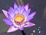 103-0337b_IMG.JPG